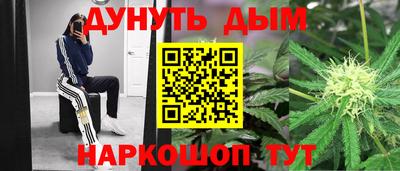 индика Краснознаменск