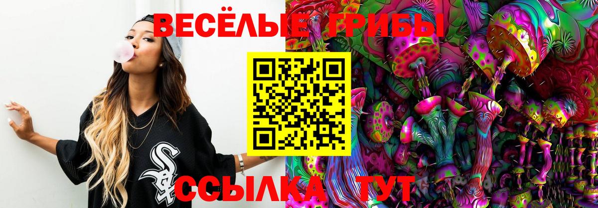 Галлюциногенные грибы ЛСД Котельники